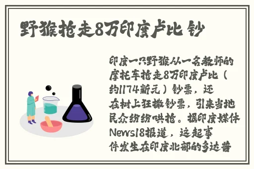 2021最新最全国产精品